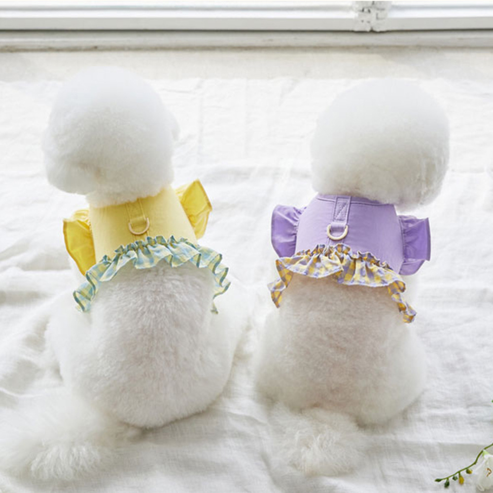 Lace Teddy Lingerie - Harnais pour chien avec laisse de