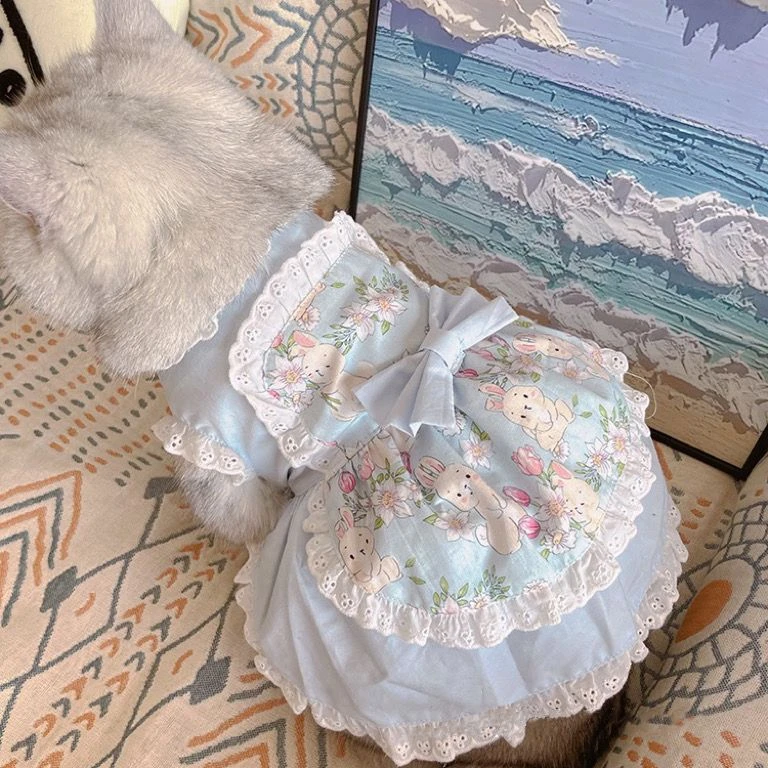 Lace Teddy Lingerie - Robe tablier en dentelle florale pour