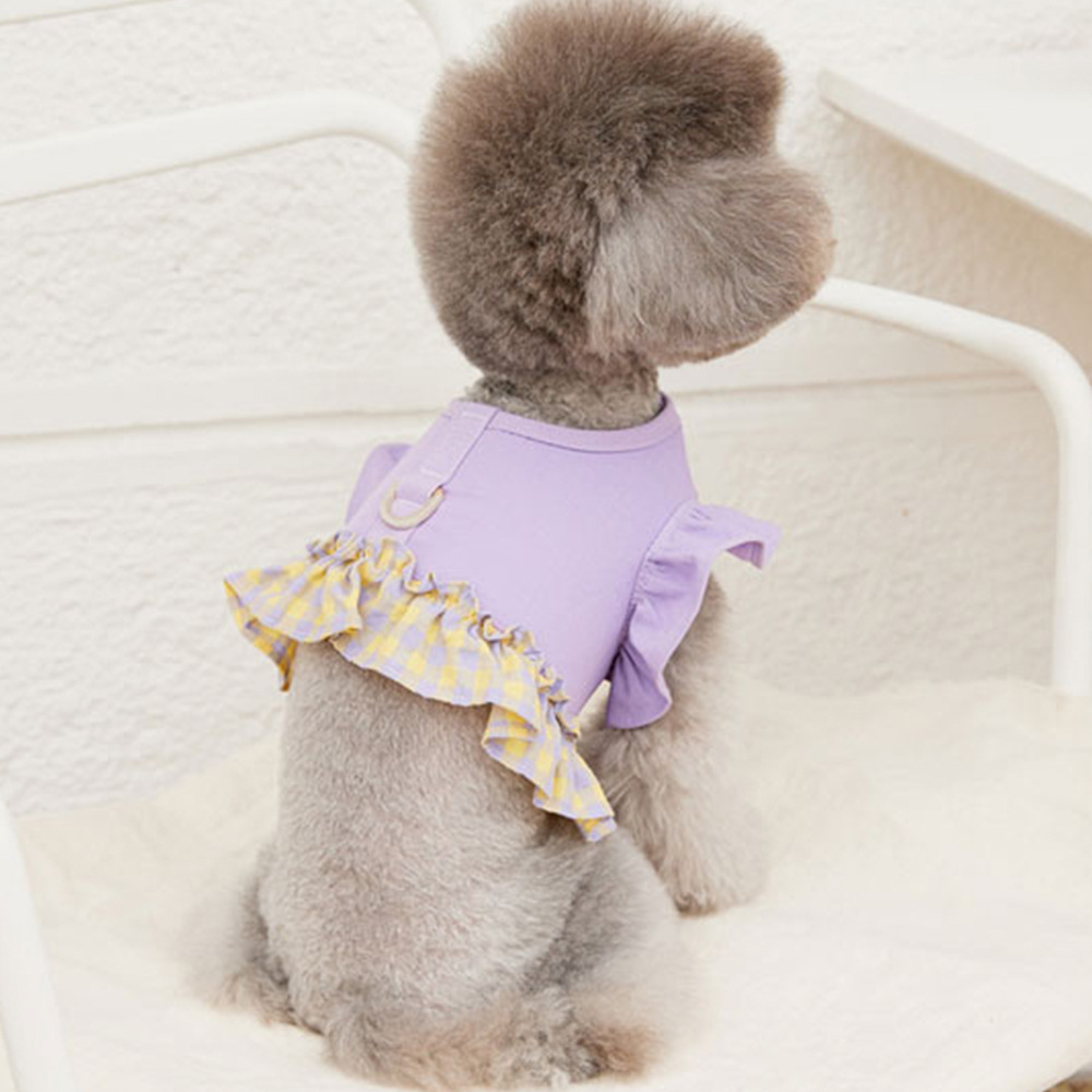 Harnais pour chien avec laisse - Lace Teddy Lingerie avis et prix